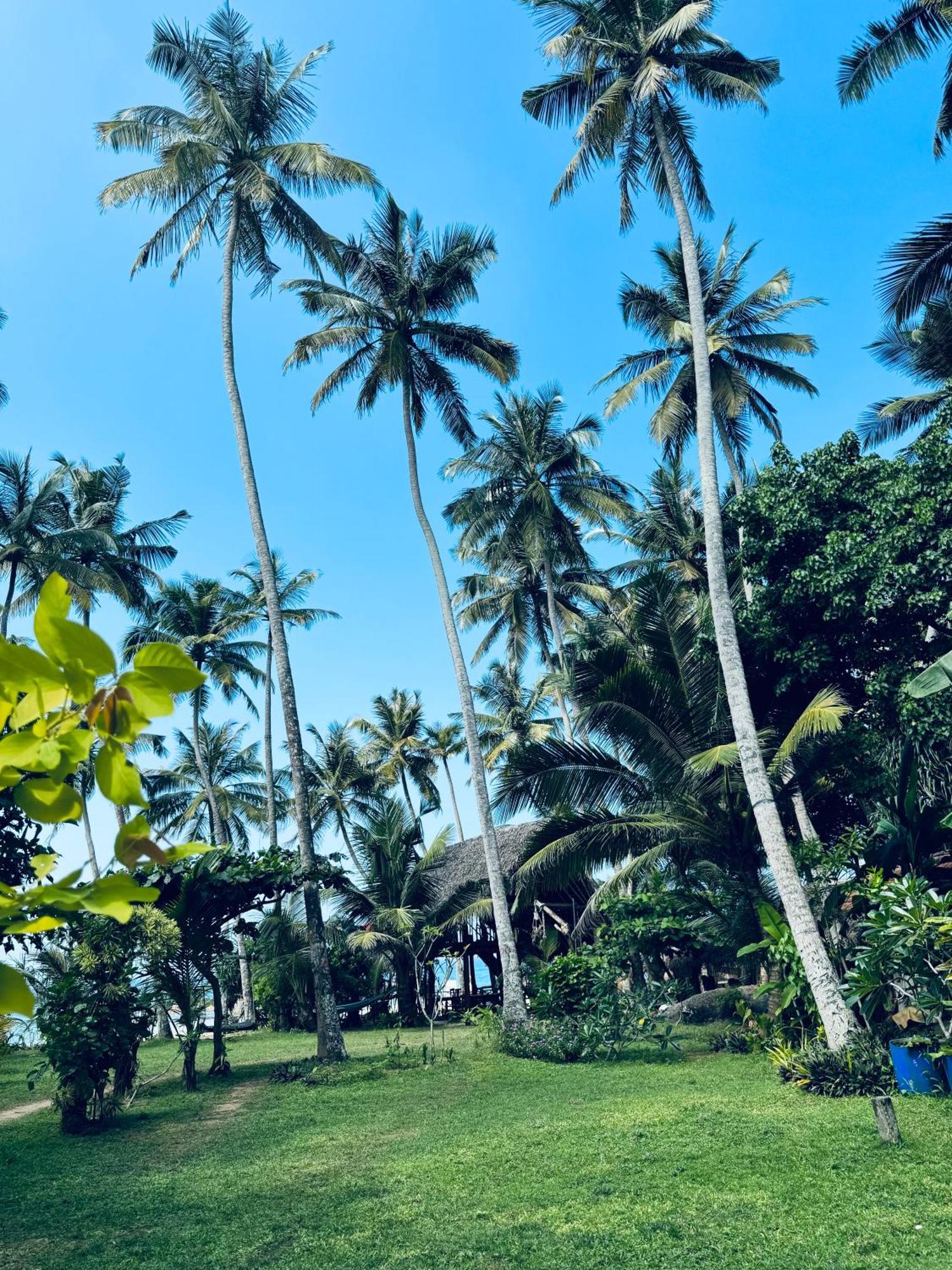 Villa La Kurumba Ambalangoda  Exterior photo